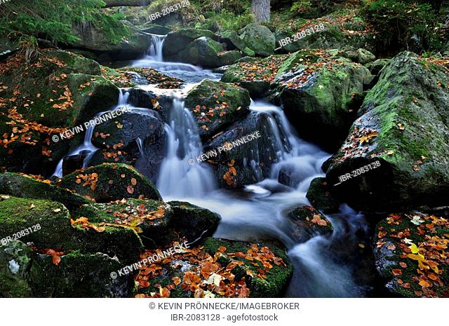 Ilse stream in the Ilsetal valley in autumn, Saxony-Anhalt, Germany, Europe