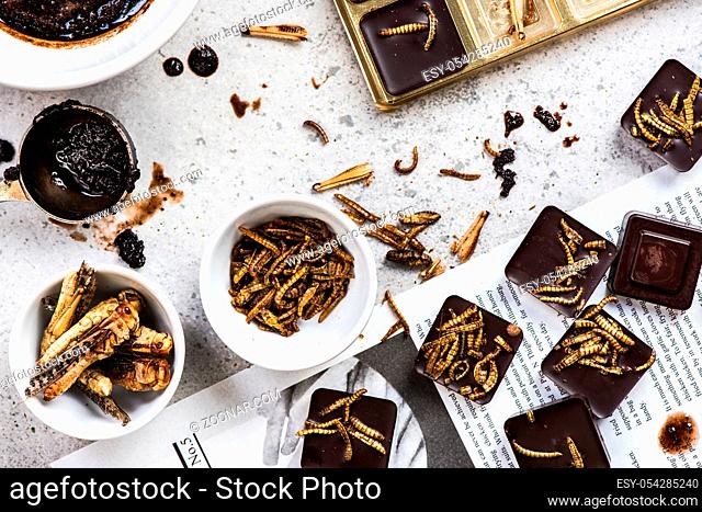 Homemade edible insects with chocolate, overhead view