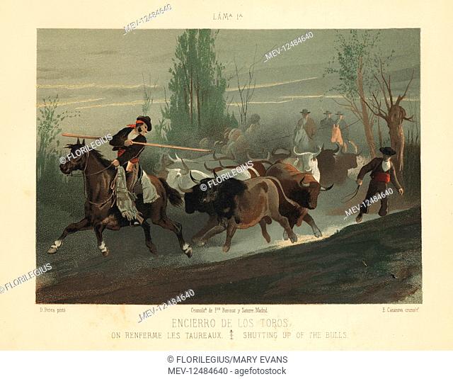 Spanish cowboys on horseback with lances shutting up the bulls before a bullfight. Chromolithograph by E. Casanova after an illustration by Daniel Perea from...