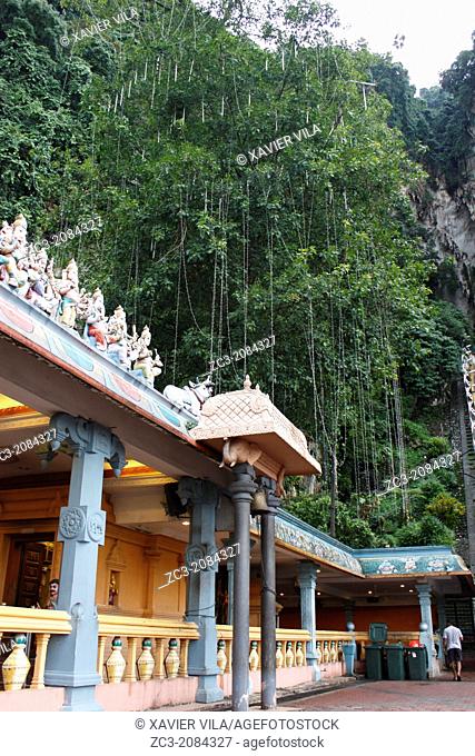 Temple with tree across the roof, Batu Caves are a set of caves, some of which have been converted into temples, in a limestone hill located 10 kilometers north...