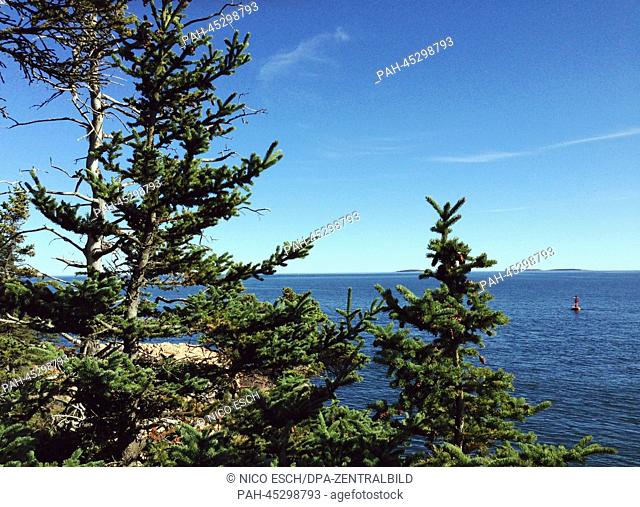 View through trees at the cliffs of Bass Habor in the Acadia National Park in Maine, USA, 27 September 2013. The Acadia National Park is known for its rugged...