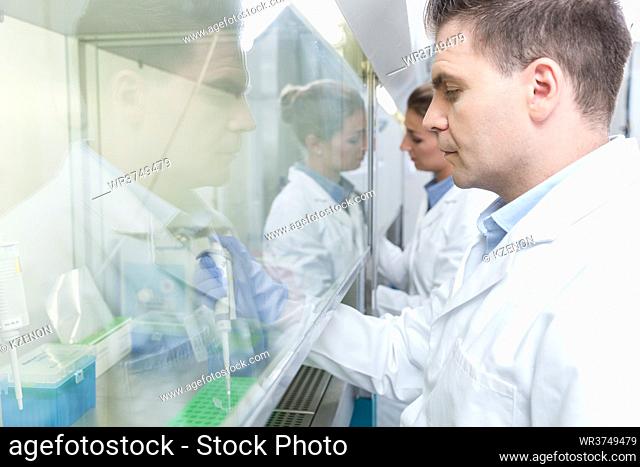 Researchers in science lab preparing samples