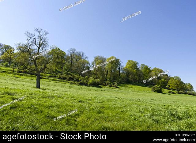Cadbury Castle, a bronze and iron age hillfort known locally as King Arthurâ. . s Camelot. South Cadbury, Somerset, England