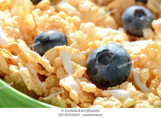Bowl of Cereal with Blueberries Close Up