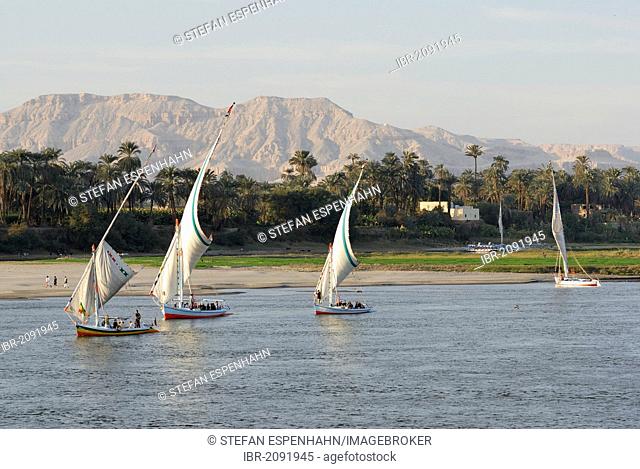 Feluccas on the Nile, Luxor, Nile Valley, Egypt, Africa