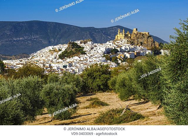 White village of Olvera, Moorish castle & Church of Our Lady of the Incarnation. Pueblos Blancos de la Sierra de Cadiz. Southern Andalusia, Spain