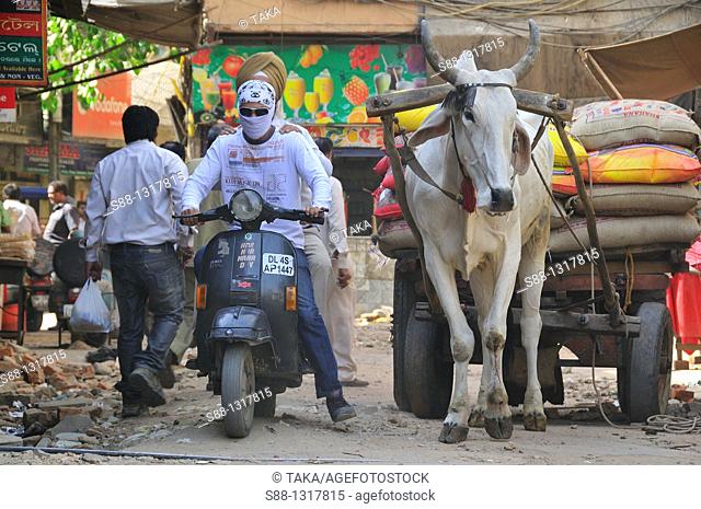 Mortor byke and cow going on the street, Delhi India