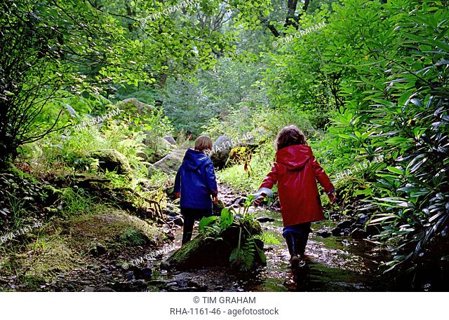 A four year old boy and five year old girl playing in a stream in Devon