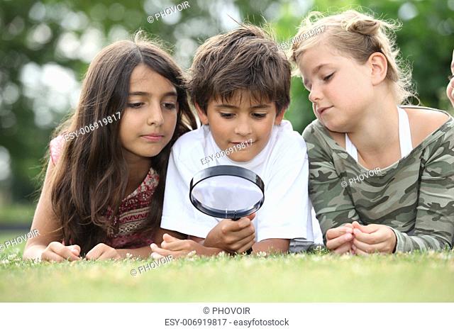 Children looking at insects
