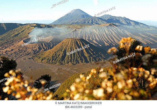 Bromo, Batok and Semeru volcanoes, Bromo-Tengger-Semeru National Park, Java