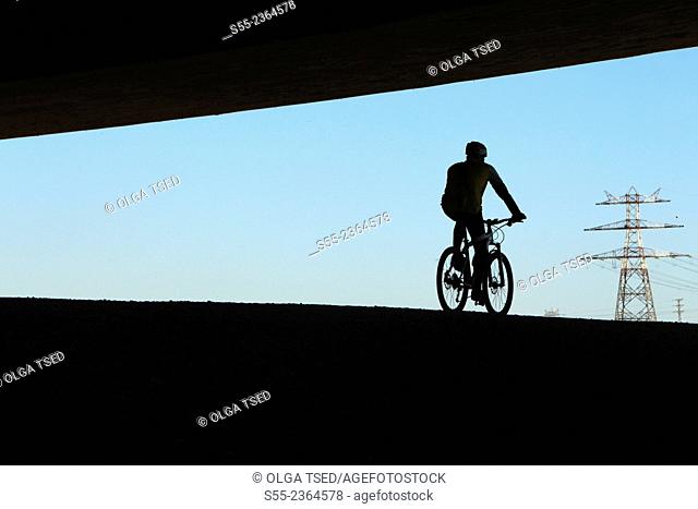 Back view of a biker cycling under the bridge. Anella verda del Prat de Llobregat, Barcelona province, Catalonia, Spain
