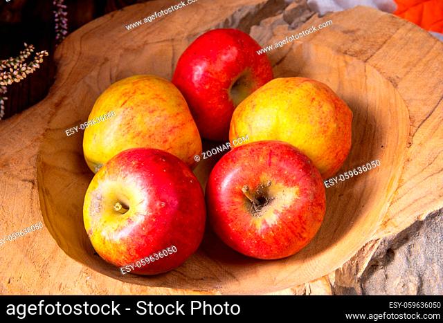 autumn is the time to harvest apples