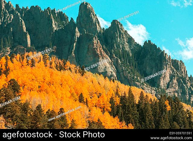 Colorful yellow autumn in Colorado, United States. Fall season