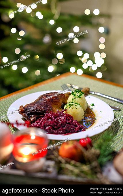 13 December 2021, Saxony, Wermsdorf: A portion of goose leg with red cabbage and dumplings stands on a table in the restaurant of the Eskildsen goose farm