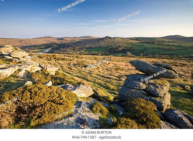 Granite outcrops in Dartmoor National Park, looking across to Hound Tor and Hay Tor on the horizon, Devon, England, United Kingdom, Europe