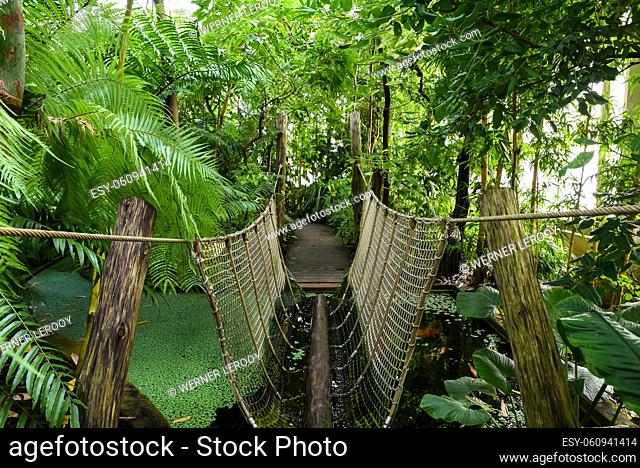 Meise, Flemish Region / Belgium - 09 16 2018: Tourists visiting a jungle like part of the Botanic Garden of Belgium with a suspension bridge