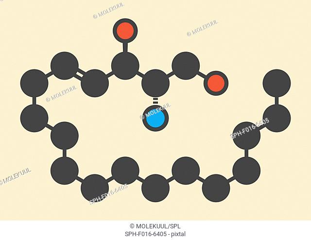 Sphingosine lipid molecule. Stylized skeletal formula (chemical structure). Atoms are shown as color-coded circles: hydrogen (hidden), carbon (grey)