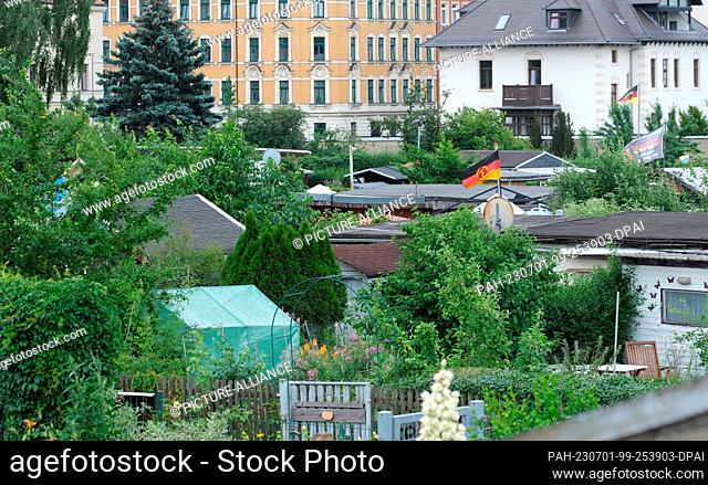 01 July 2023, Saxony, Leipzig: View of plots of the allotment garden association Schreber-Hauschild e. V. in the north of the city