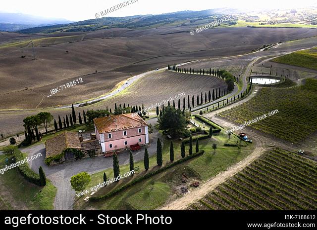 Aerial view, estate with cypresses, Val d'Orcia valley, Montalcino, Siena region, Tuscany, Italy, Europe