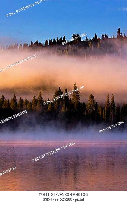 Morning mist rising from Donner Lake, California, USA