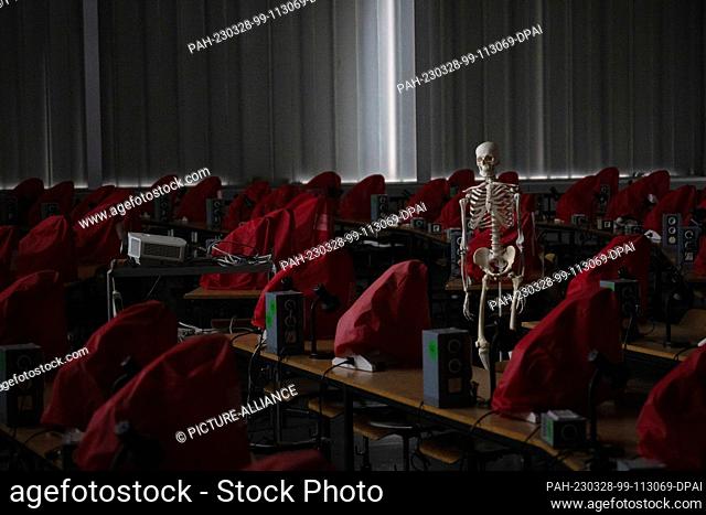 PRODUCTION - 23 March 2023, Hesse, Gießen: A skeleton model stands in a microscopy room with covered microscopes at the Institute for Anatomy and Cell Biology...