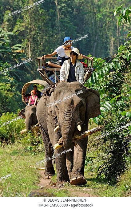 Laos, Sainyabuli Province, Thanoon, Nam Thap River, caravan of elephants and their passengers on a palanquin on a river