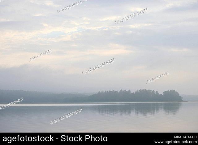 germany, mecklenburg-western pomerania, feldberger seenland, lake, luzin, fog