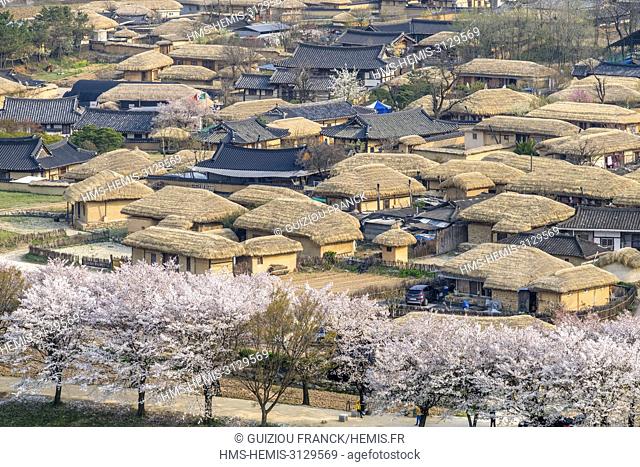 South Korea, North Gyeongsang province, Andong, Hahoe Historic Village (UNESCO World Heritage site) founded in the 14th-15th centuries reflects the aristocratic...