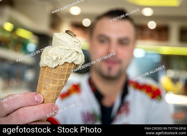 PRODUCTION - 01 March 2023, Baden-Württemberg, Rottenburg am Neckar: Thomas Micolino, owner of Eiscafé Rino, shows off an ice cream made partly of cricket flour...