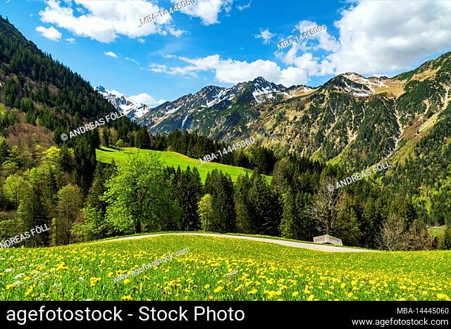 Idyllic mountain landscape above Trettachtal near Oberstdorf on a sunny day in spring. Green meadows, forests and snow-capped mountains under blue sky