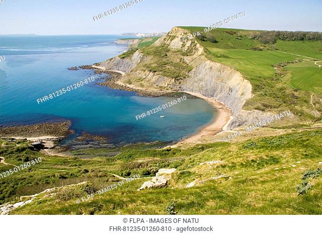 View of cliffs and small bay, South West Coastal Path, Chapmans Pool, Dorset, England, april