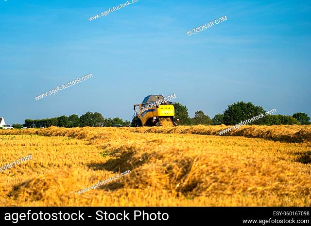 Yellow combine harvester New Holland harvests ripe wheat field. Agriculture in France. Harvesting is the process of gathering a ripe crop from the fields