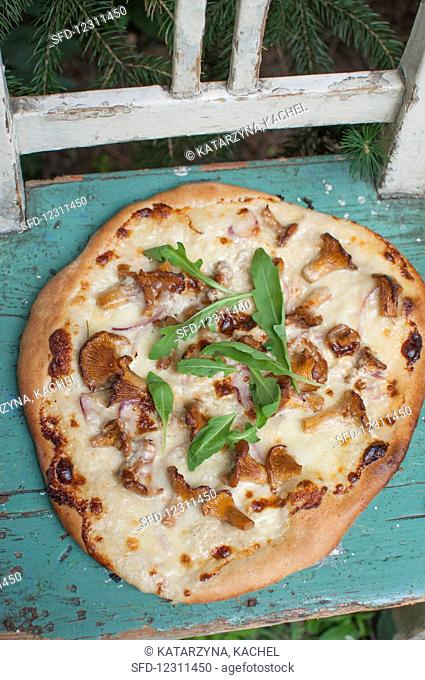 Pizza bianca (Italian cuisine dish) with white sauce (made of heavy cream and parmesan cheese), mozzarella and wild mushrooms (chanterelle)