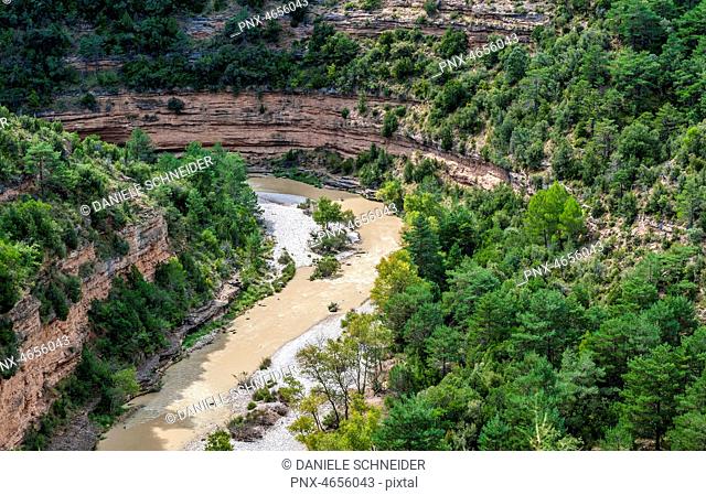 Spain, autonomous community of Aragon, Sierra y Ca¤ones de Guara natural park, canyon of the Alcanadre river at Bierge, Aleppo pine and green oek trees