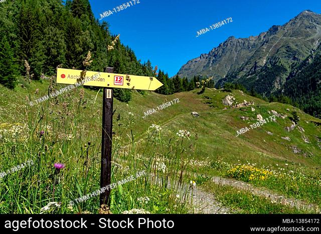 Europe, Austria, Tyrol, Ötztal Alps, Ötztal, path marking of the Ötztaler Urweg on a mountain meadow near the Hochwald snack bar