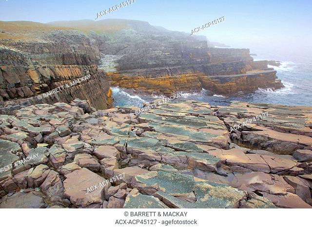 Fossils, Mistaken Point Ecological Reserve, Avalon Peninsula, Newfoundland and Labrador, Canada