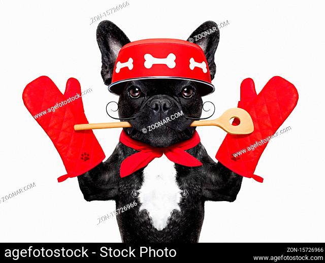 french bulldog dog chef cook wearing cook or kitchen gloves, isolated on white background