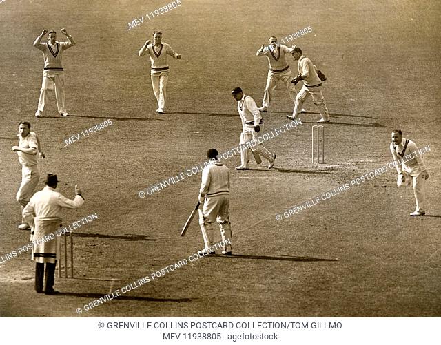 County Cricket Match at the Oval in 1939 - a wicket has just fallen, caught behind. The bowler appears to be the Surrey player Alf Gover
