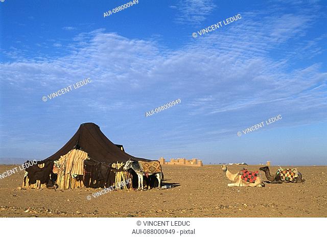 Morocco - South - Drâa Valley - Zagora - Tameagroute - Tinfou Dune