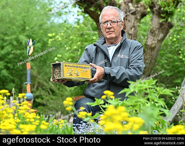 17 May 2021, Brandenburg, Frankfurt (Oder): Eberhard Theis, amateur beekeeper, shows a small box in his garden with special nesting tubes for the horned mason...