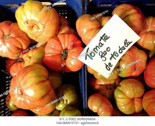 Vegetables market in Tudela, Navarre, Spain