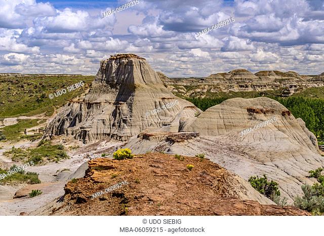 Canada, Alberta, Canadian Badlands, Red Deer River Valley, Dinosaur Provincial Park, View from Coulee Viewpoint Trail