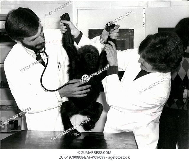 Aug. 08, 1979 - Saul-the Baby Gorilla has a Check-up: Saul, the baby Gorilla at the London Zoo, today had a routine check-up in the Zoo hospital
