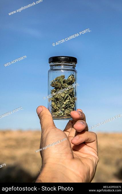 Man hand holding marijuana jar against sky