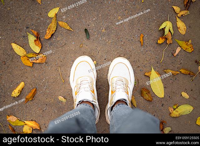 Top view of legs in white sneakers on road with yellow leaves. High quality photo