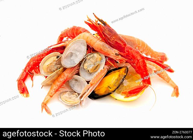 variety of freshly caught seafood on white background