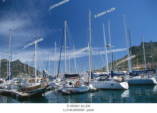 Boats in yacht basin, Hout Bay, Cape Town, Western Cape Province, South Africa