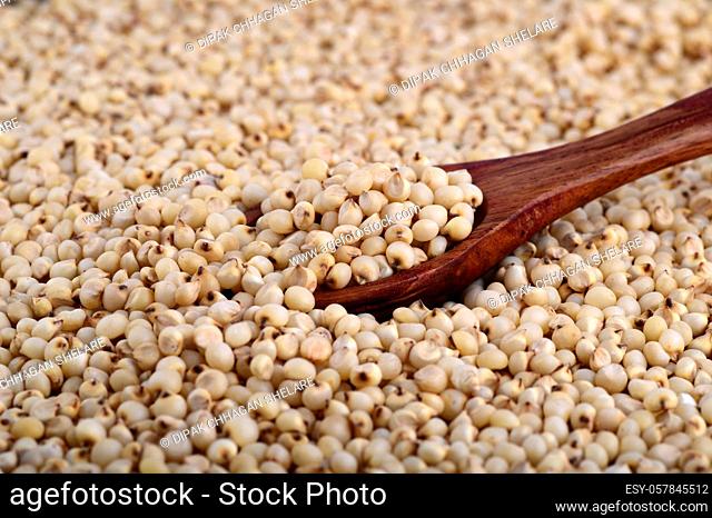 close up of Sorghum with wooden spoon