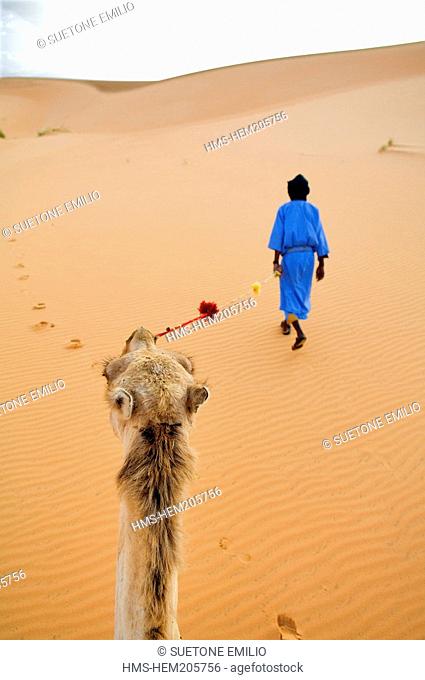 Mauritania, Adrar mountains, Sahara desert, Ouarane erg near Chinguetti, trek and camel riding in the desert