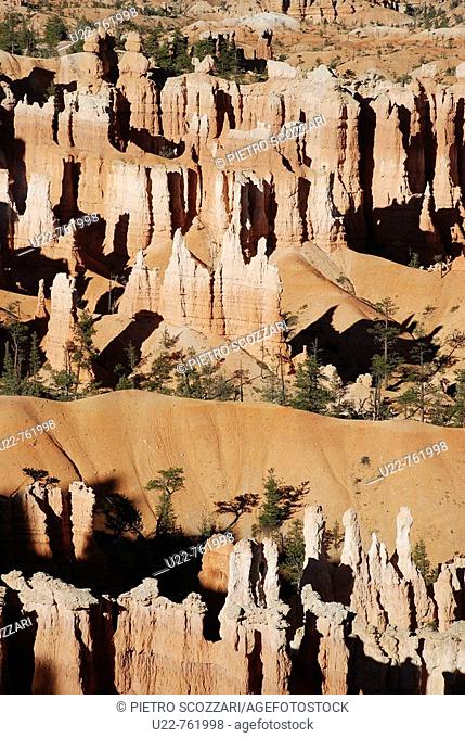 Bryce Canyon Utah, the hoodoos stone pillars